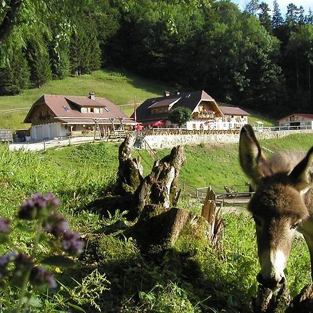 Ferienwohnung Hochsteinalm Traunkirchen Exterior foto