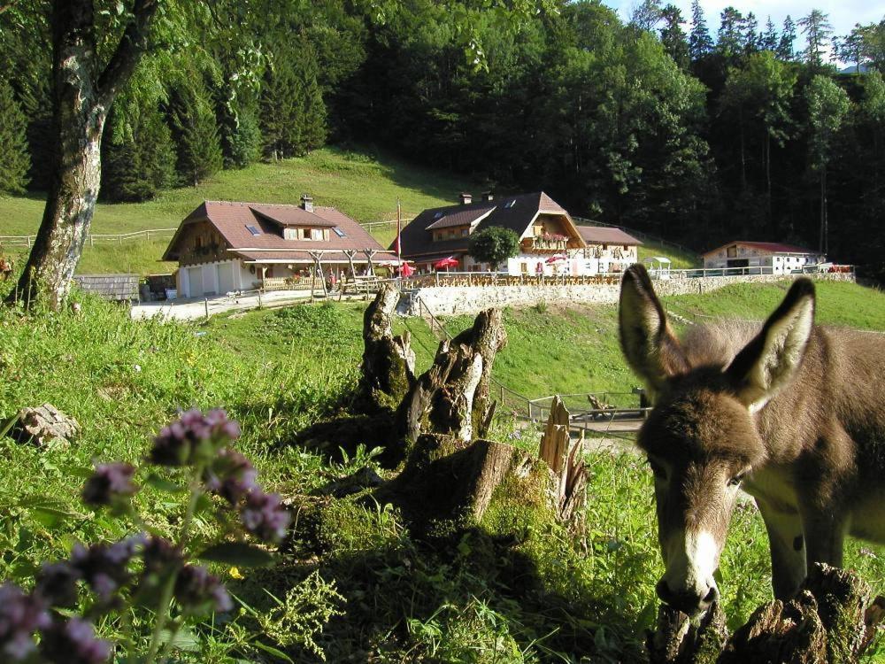 Ferienwohnung Hochsteinalm Traunkirchen Exterior foto