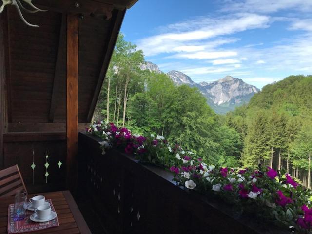 Ferienwohnung Hochsteinalm Traunkirchen Exterior foto