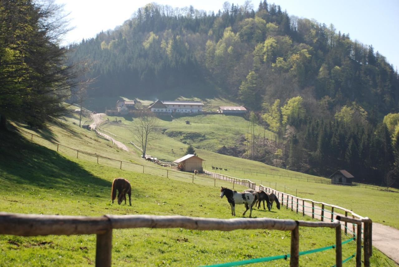 Ferienwohnung Hochsteinalm Traunkirchen Exterior foto